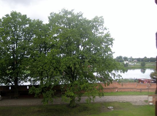 Blick voim Turm auf die Nogat