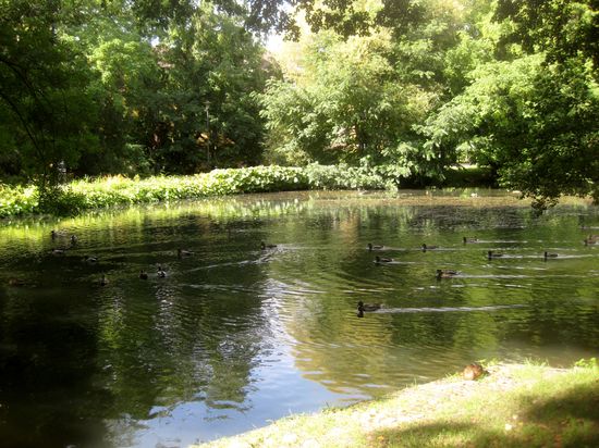 Kleiner Weiher im Park