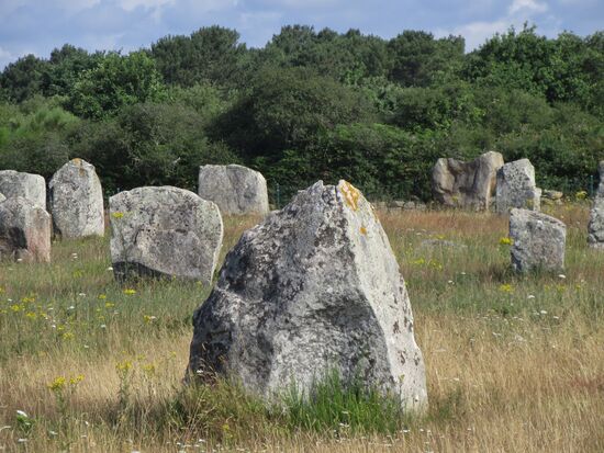 Alignements du Ménec