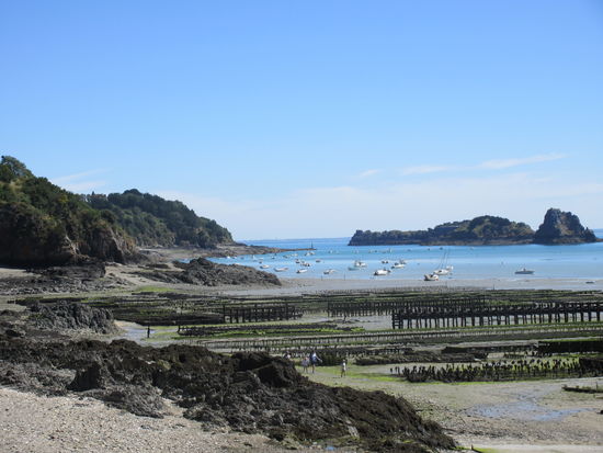 Austerbänke und kleiner Hafen