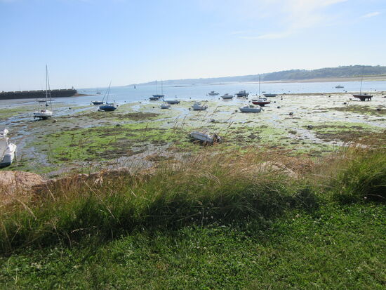 Der Yachthafen bei Ebbe