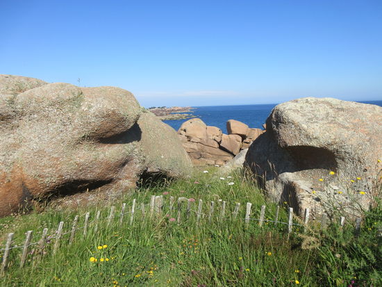 Wer kämpft denn da?