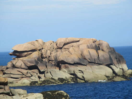 Welches Tier könnte das wohl sein?