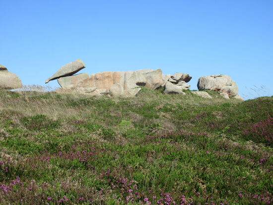 Schöne Heidelandschaft