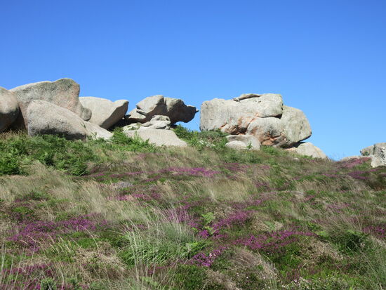 Was für eine Kulisse!