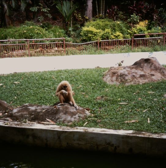 Bei den Wasserfällen