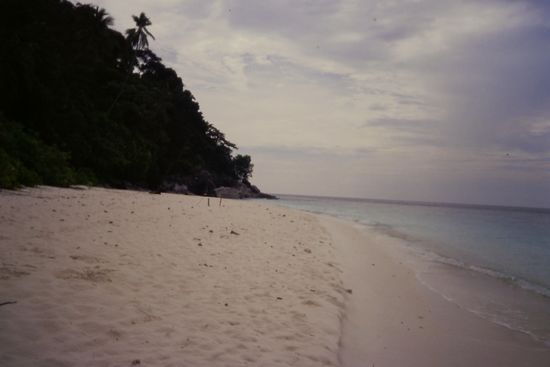 Traumstrand auf Coral Island