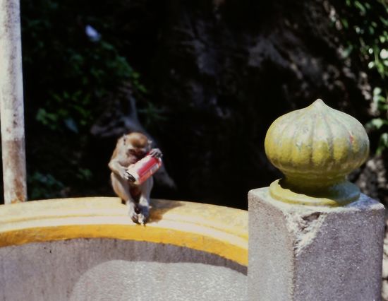 Batu Caves
