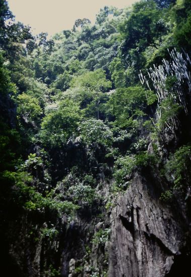 Batu Caves