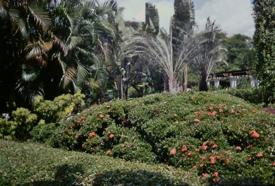 Lake Gardens