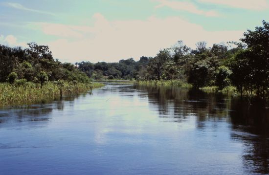 Bootsfahrt im Regenwald