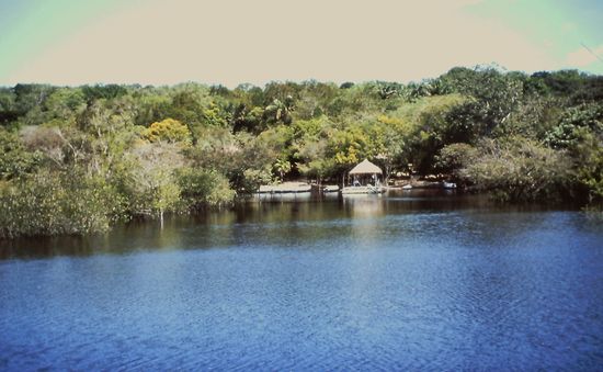Blick auf Amazon Village