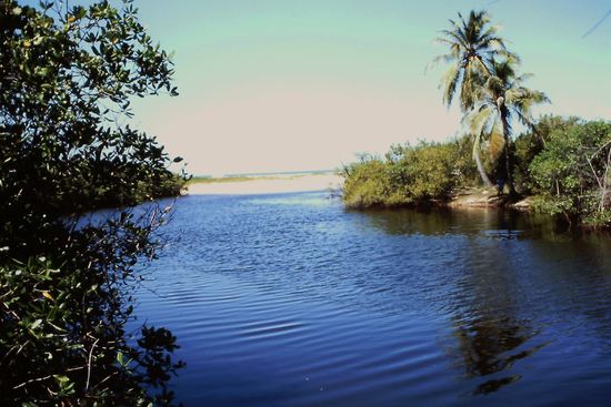 Auf dem Weg ins Dorf