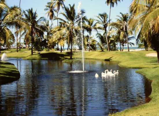 Idyllischer Teich auf dem Weg ins Dorf