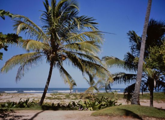 Der Strand beim Hotel