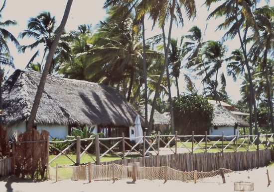 Besucherzentrum Schildkröten-Projekt