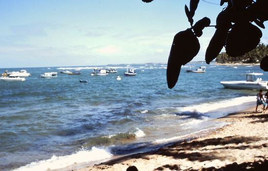 Strand in der Nähe des Schildkröten-Projekts