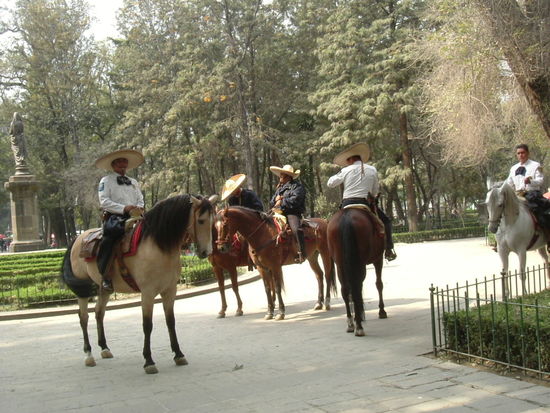 Polizisten hoch zu Ross im Alameda-Park