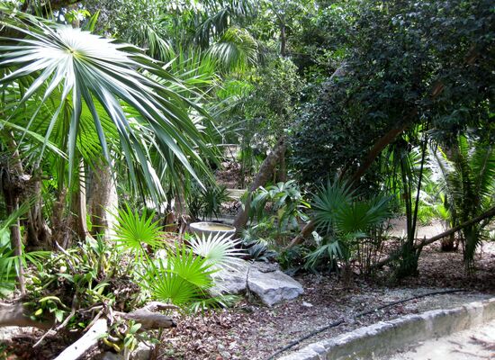 Im Botanischen Garten