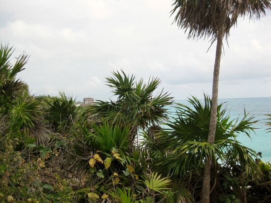 Mayastätte Tulum