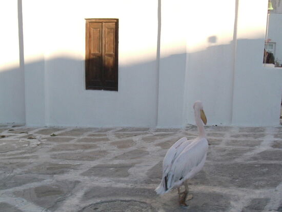 Autofrei - also kein Problem...