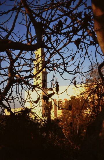 Die 1894 erbaute St. Petruskirche
