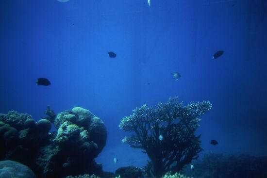 Underwater Observatory