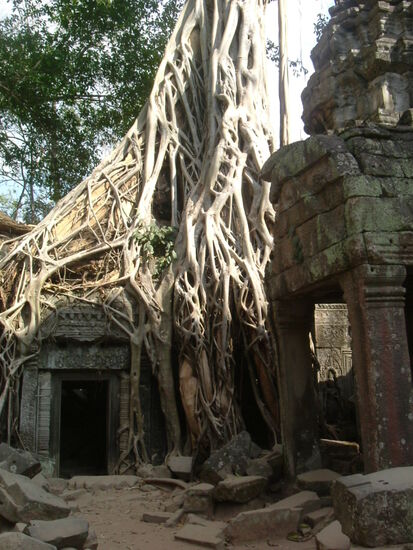 Prohm Tempel