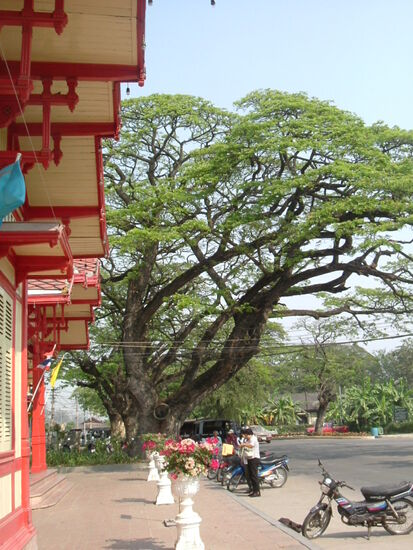 Am Bahnhof in Hua Hin