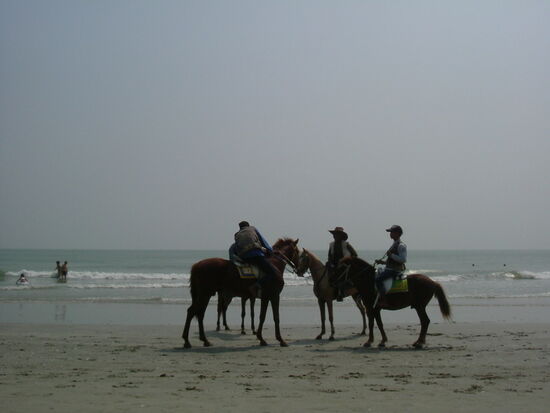 Auch ein Grund, warum die Strände nicht so "comme il faut" sind...