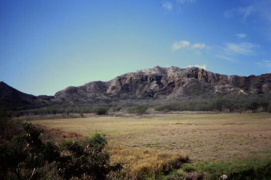 Blick auf Diamond Head