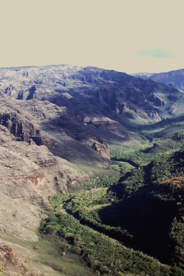 Waimea Canyon