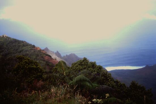 Waimea Canyon