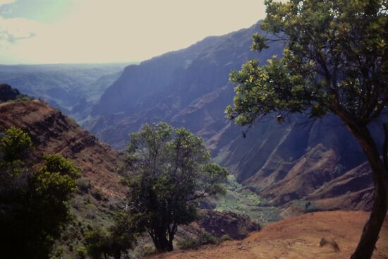 Waimea Canyon