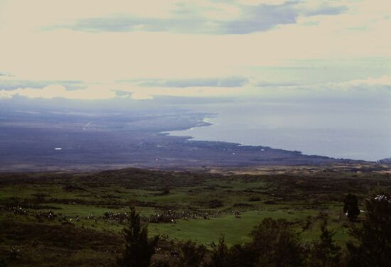 Bei der Parker Ranch