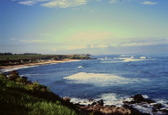 Wainapanapa State Park