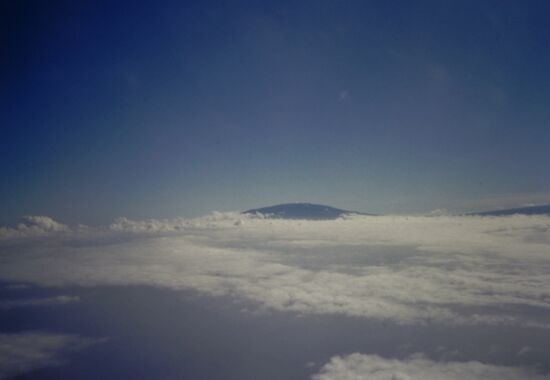 Moana Kea + Moana Lea