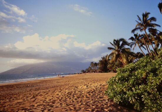 Kihei Beach