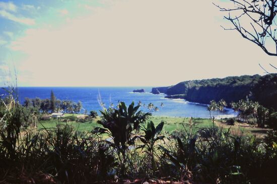 Waianapanapa State Park