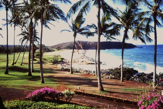 Der Strand beim Kaluakoi Resort