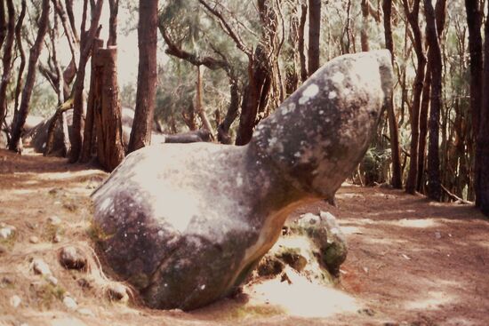 Phallic Rock