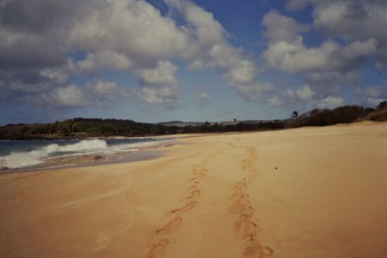 Papohaku Beach