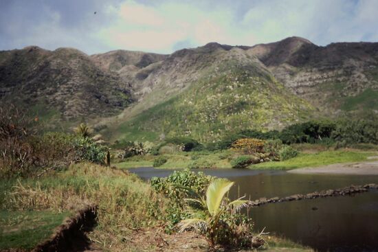 Halawa Valley
