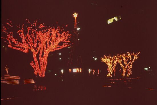 Xams Lights Honolulu