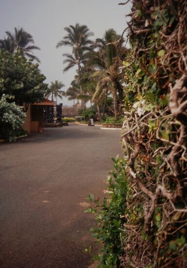 Polynesian Cultural Center