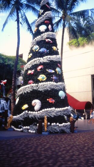 Xmas in Waikiki