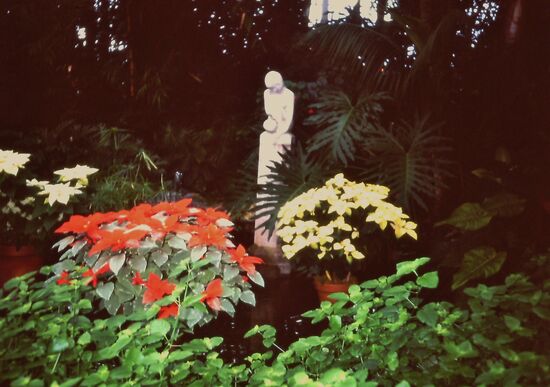 Im Lincoln Park Conservatory