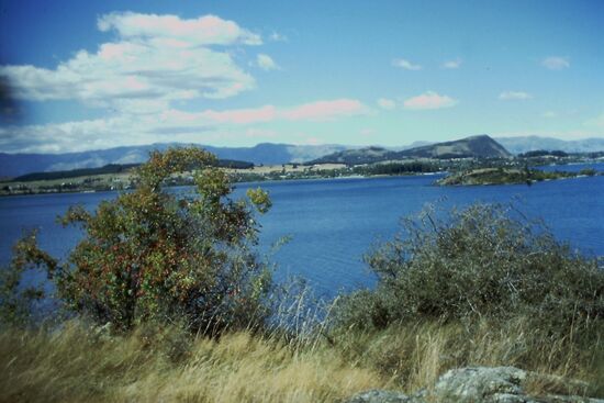 Wandern am Wanaka Lake