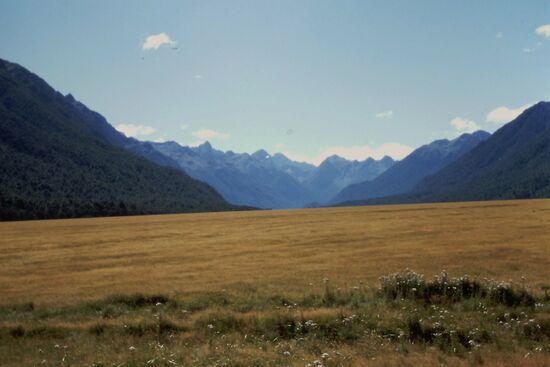 Auf der Rückfahrt vom Milford Sound