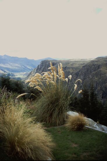 Am Bob's Peak